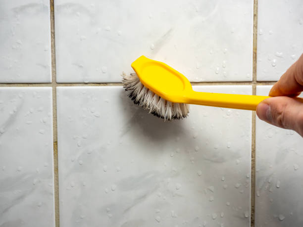 Best Residential Mold Removal  in Berkeley, IL